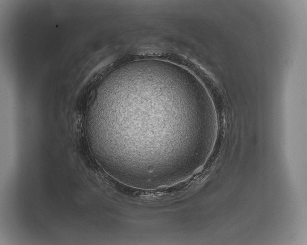 X0000112171351200908141257