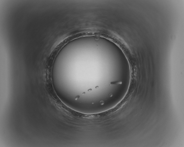 X0000112171352200908141257