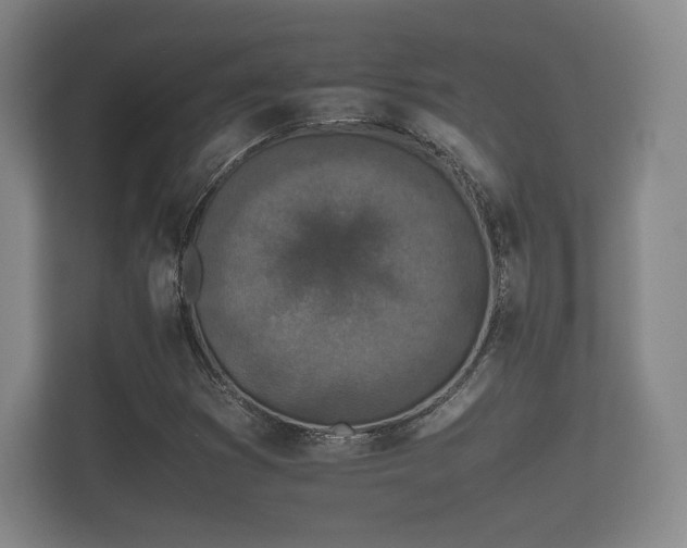 X0000112171353200908141257