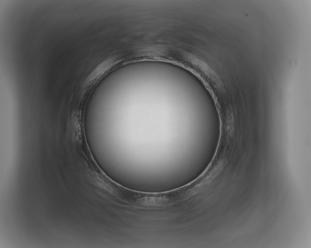 X0000112171354200908141257