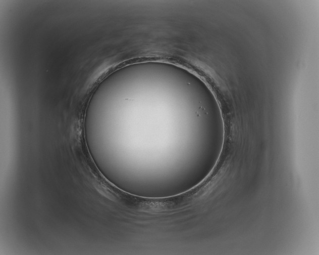 X0000112171355200908141257