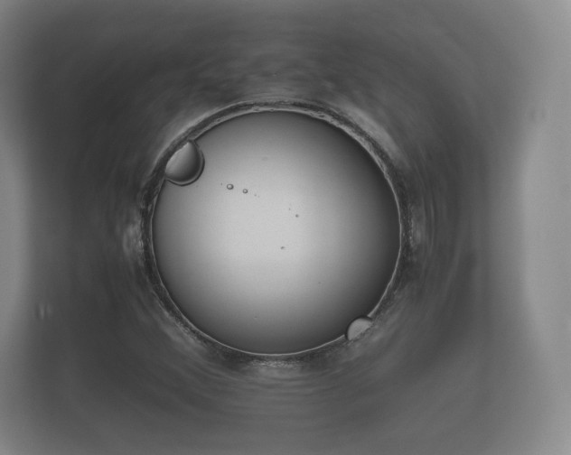 X0000112171356200908141257