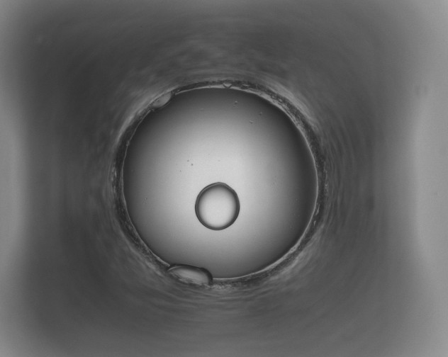 X0000112171357200908141257