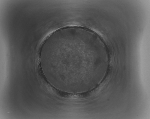 X0000112171359200908141257