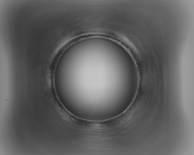 X0000112171360200908141257