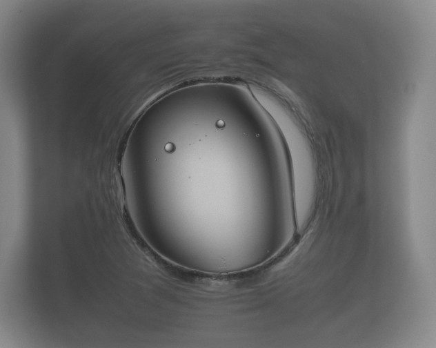 X0000112171361200908141257