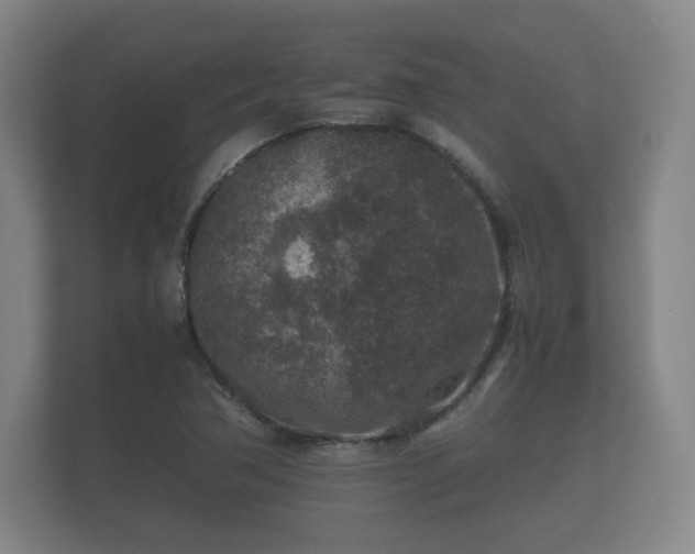 X0000112171362200908141257