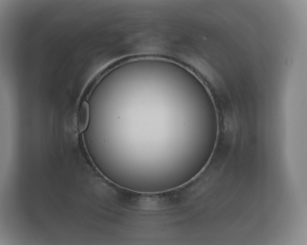 X0000112171364200908141257