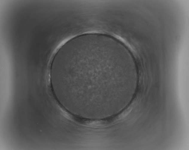 X0000112171367200908141257