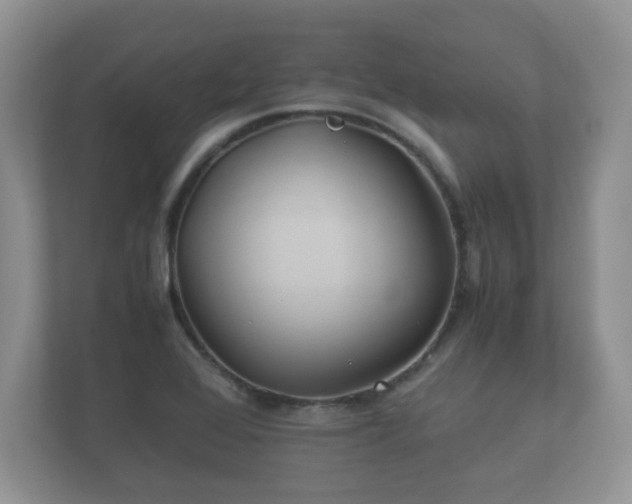 X0000112171368200908141257