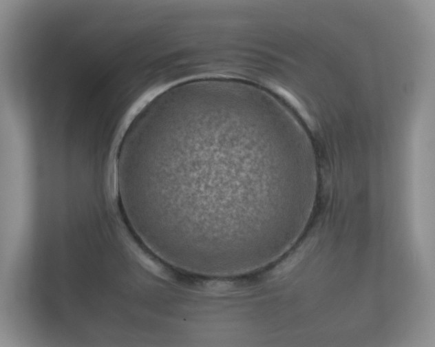 X0000112171371200908141257