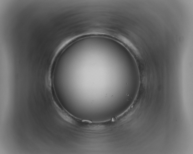 X0000112171372200908141257