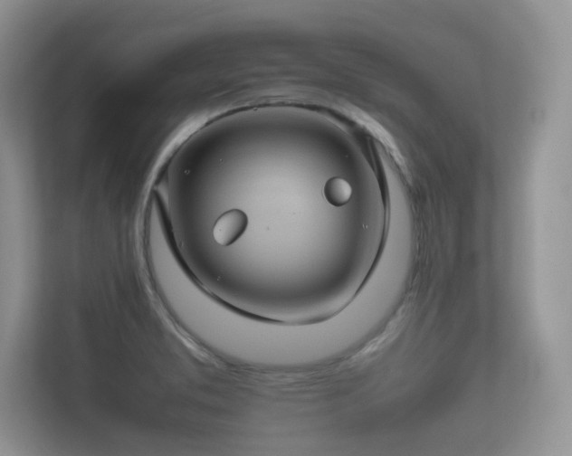 X0000112171373200908141257