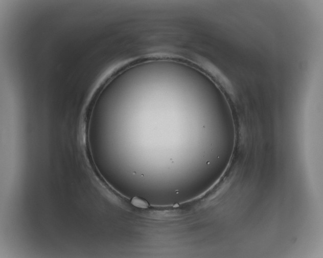 X0000112171376200908141257