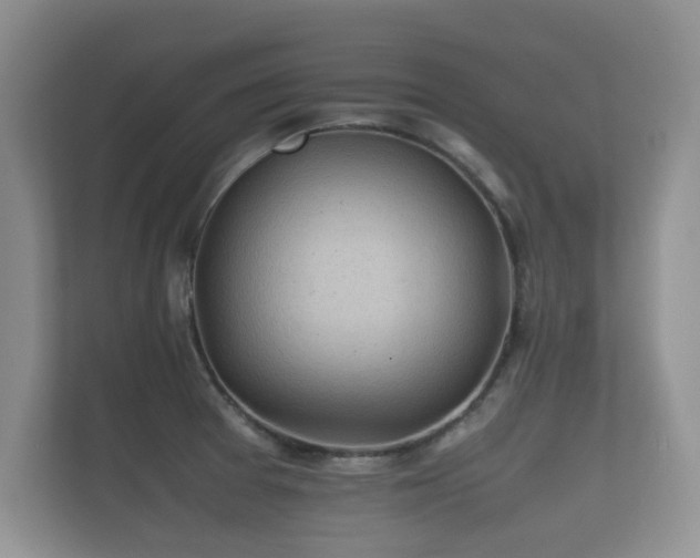 X0000112171377200908141257