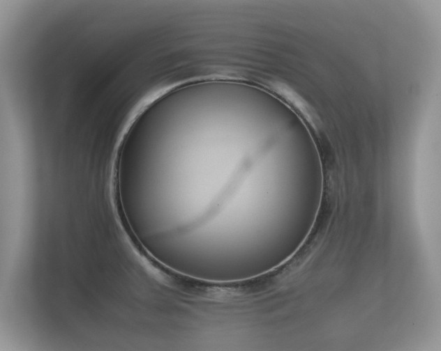 X0000112171379200908141257