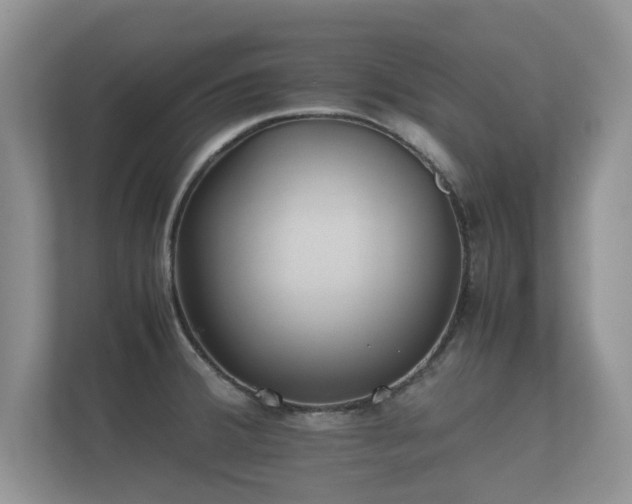 X0000112171380200908141257