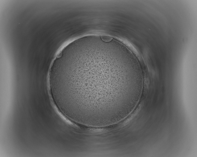 X0000112171382200908141257