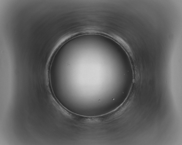 X0000112171384200908141257