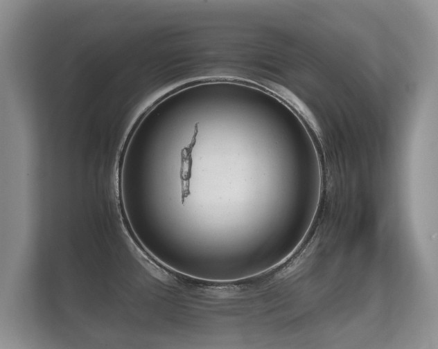 X0000112171388200908141257