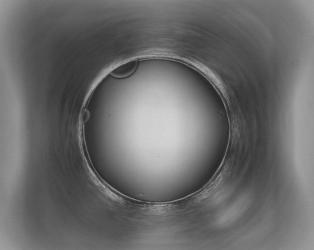 X0000112171390200908141257