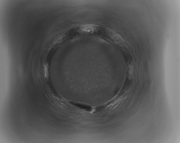 X0000112171394200908141256