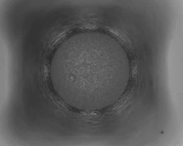 X0000112171397200908141256