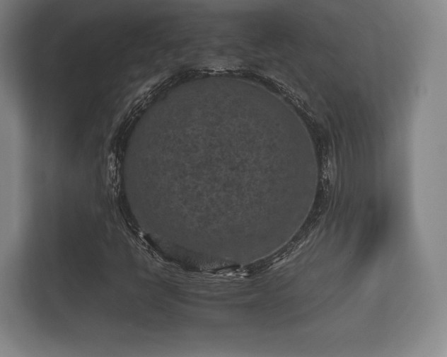 X0000112171398200908141256