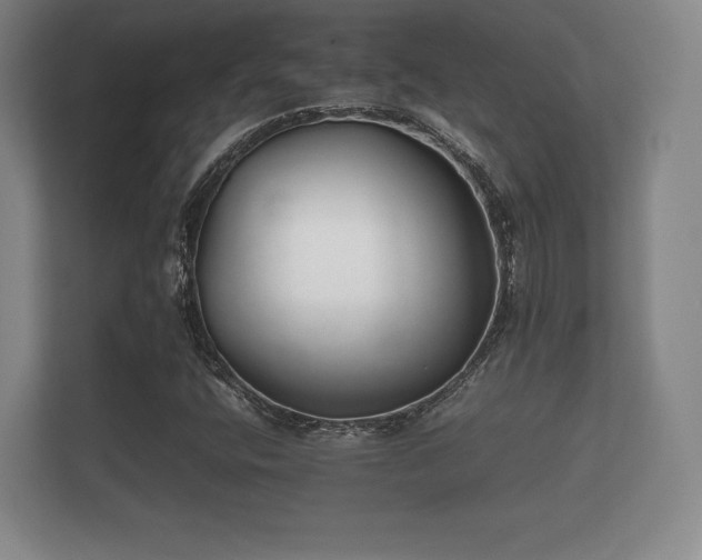 X0000112171400200908141256