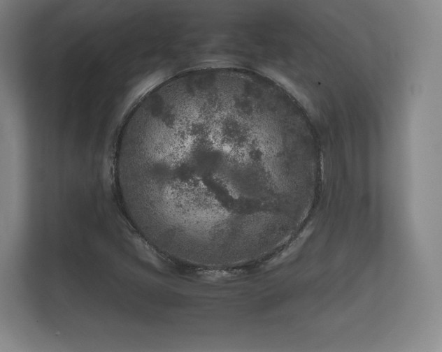 X0000112171405200908141256