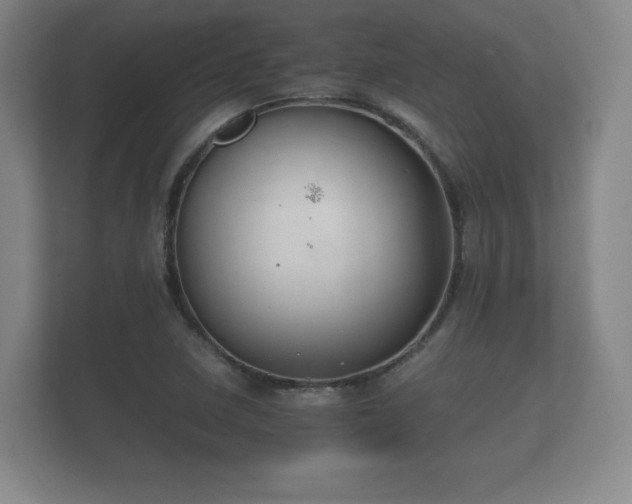 X0000112171410200908141256