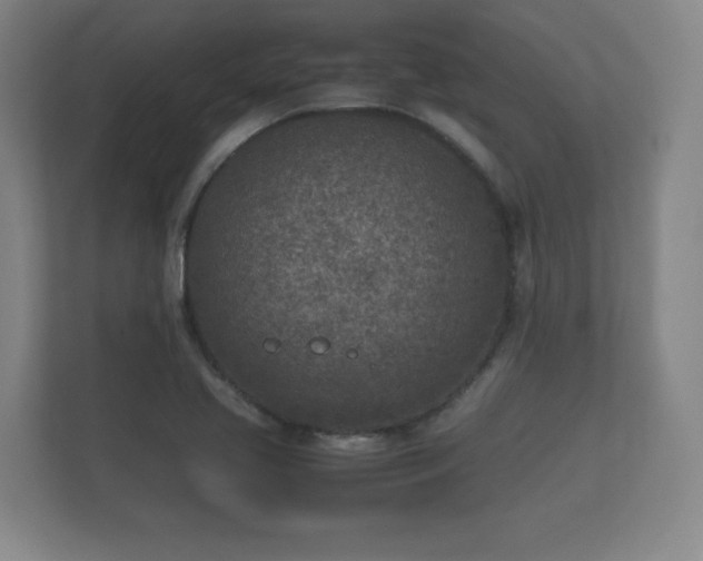 X0000112171413200908141256