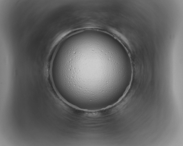 X0000112171415200908141256