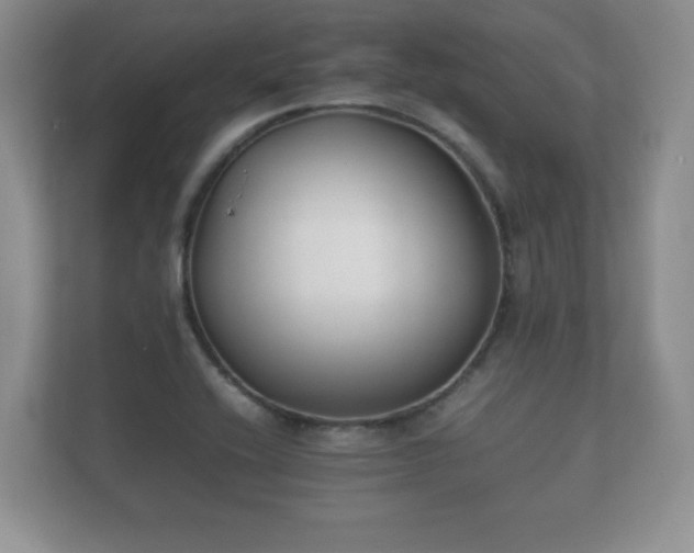 X0000112171416200908141256