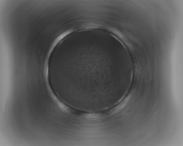 X0000112171418200908141256