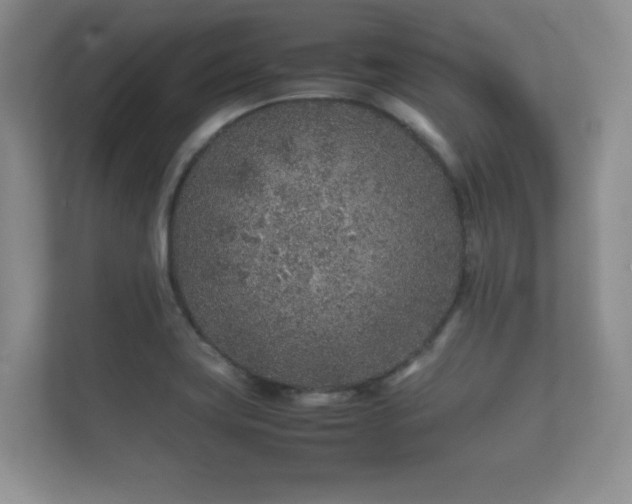 X0000112171419200908141256