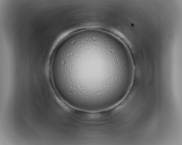 X0000112171421200908141257