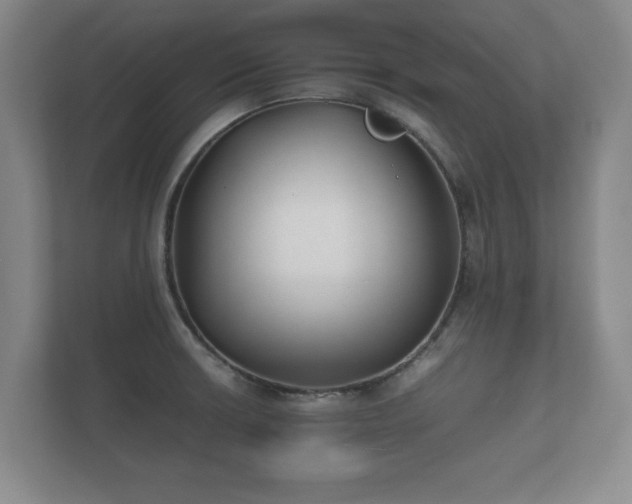 X0000112171426200908141257