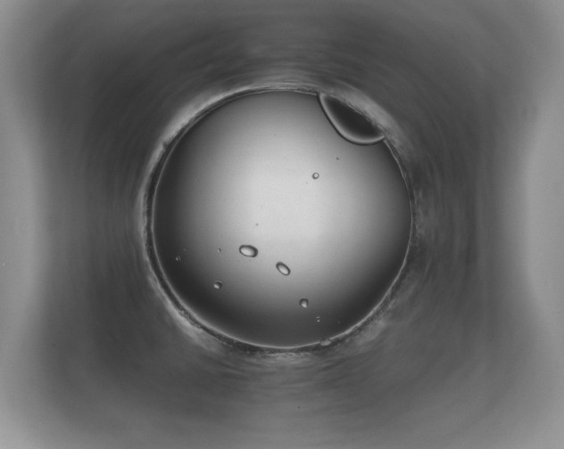 X0000112171430200908141257