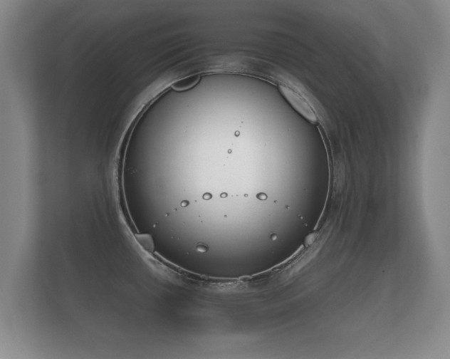 X0000112171434200908141257