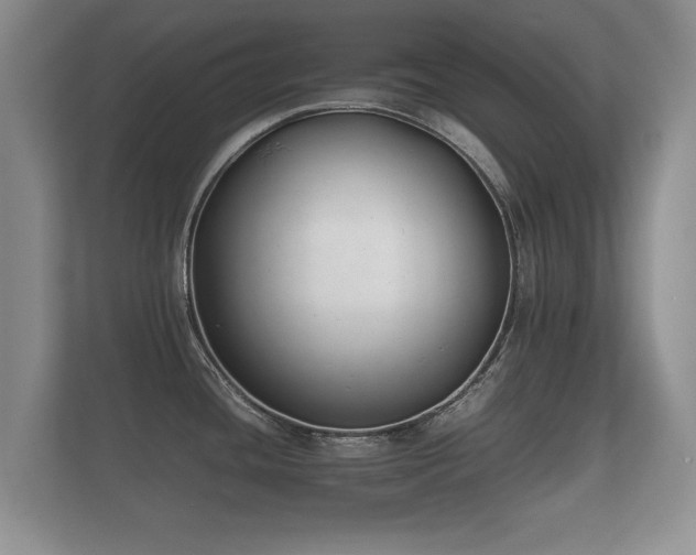 X0000112171436200908141257