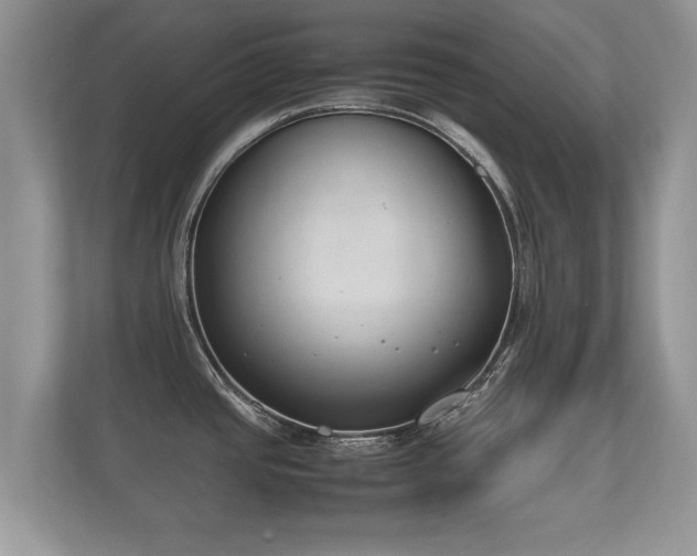 X0000112171437200908141257