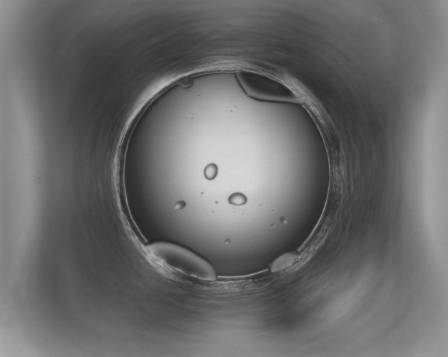 X0000112171438200908141257