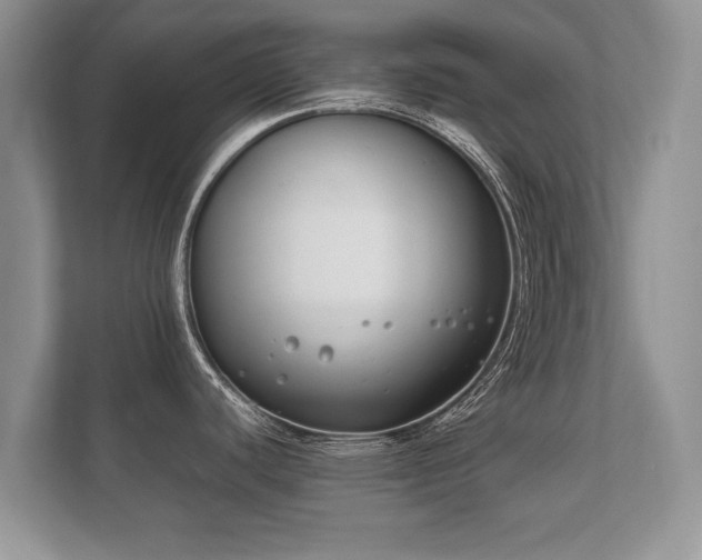 X0000112171440200908141257