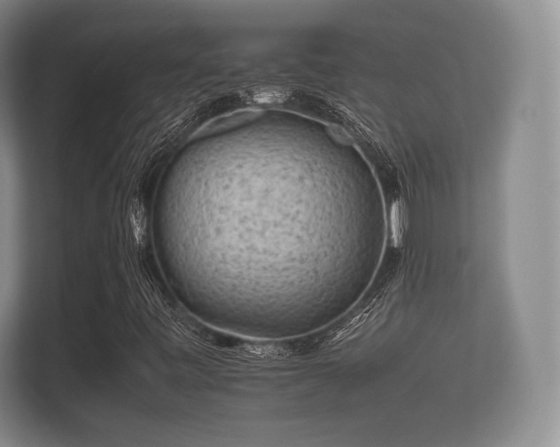 X0000112171443200908141256