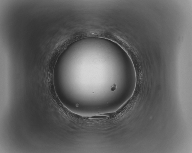 X0000112171447200908141256