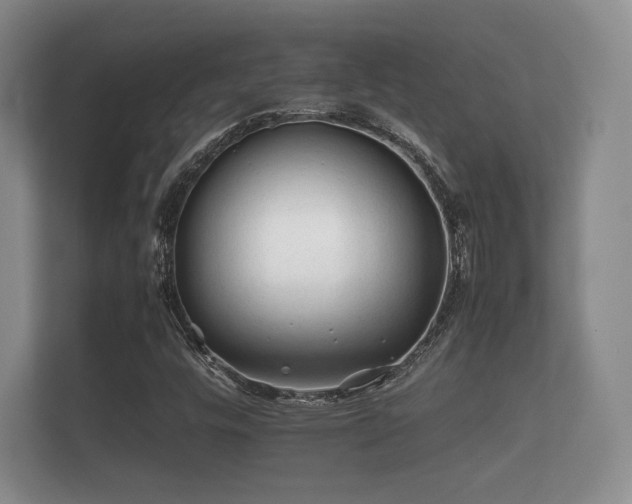 X0000112171448200908141256