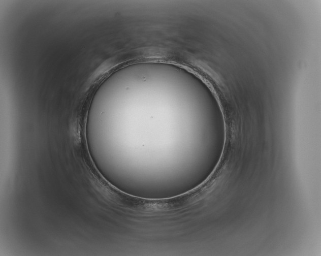 X0000112171451200908141256