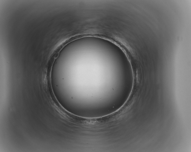 X0000112171452200908141256