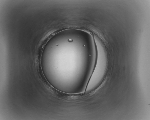 X0000112171453200908141256